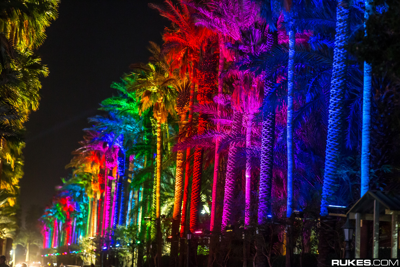 coachella14a_130.jpg