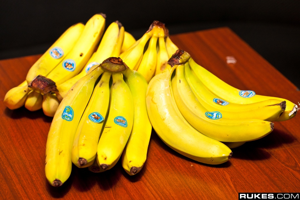 dimmakstudios 003.jpg