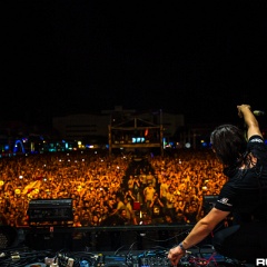 dwp14a 109