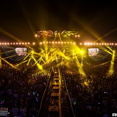 dwp14b_037.jpg