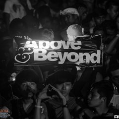 dwp14b_059.jpg