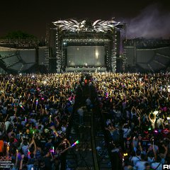 dwp14b_115.jpg