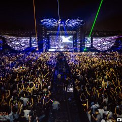 dwp14b_116.jpg