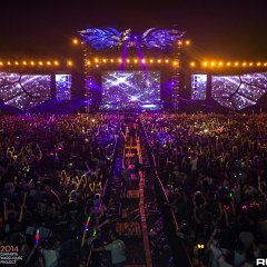 dwp14b_117.jpg