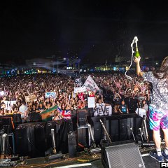 dwp14b_139.jpg