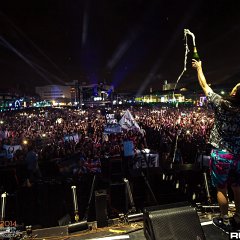 dwp14b_140.jpg