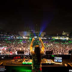 dwp14b_147.jpg