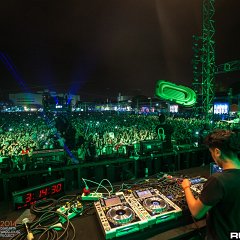 dwp14b_156.jpg