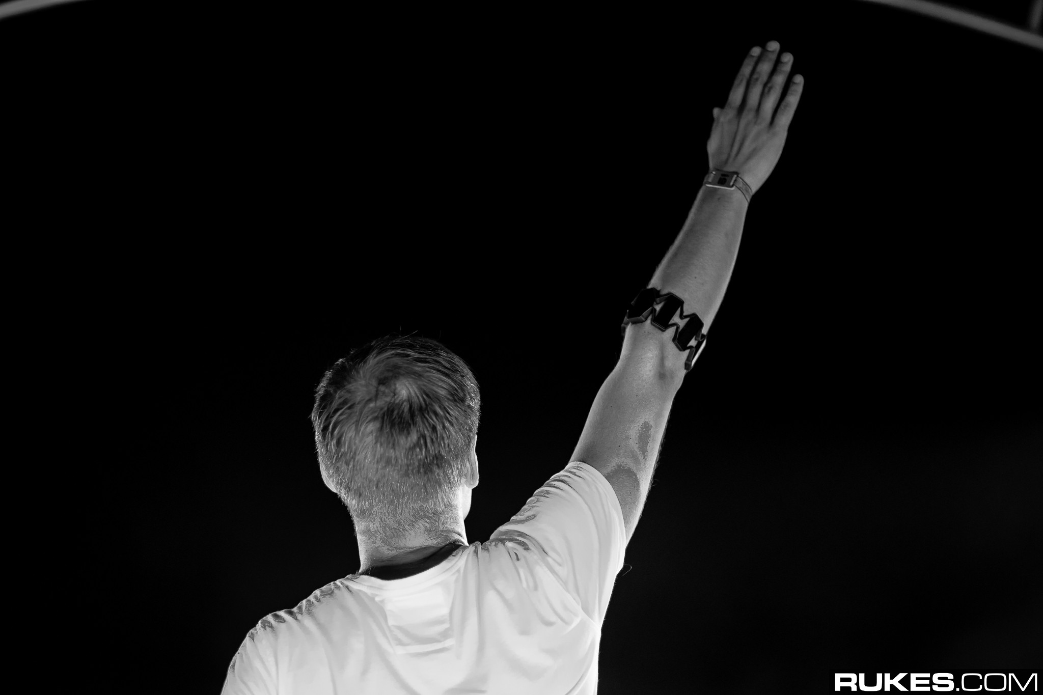 dwp15a 081