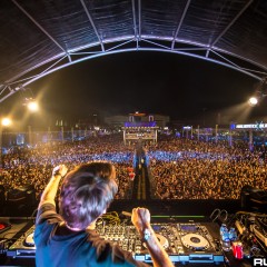dwp15a_016.jpg