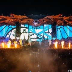 dwp15a_035.jpg