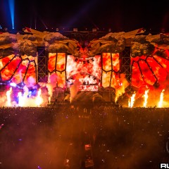 dwp15a_038.jpg
