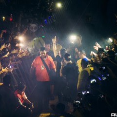 dwp15a_048.jpg