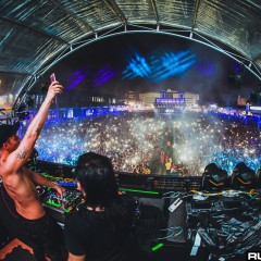 dwp15a_049.jpg