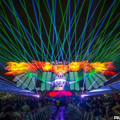 dwp15a_072.jpg