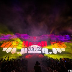 dwp15a_078.jpg
