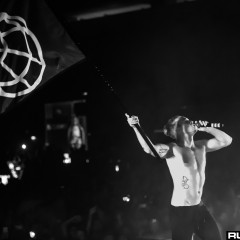 dwp15a_089.jpg