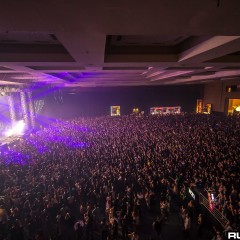 dwp15a_096.jpg