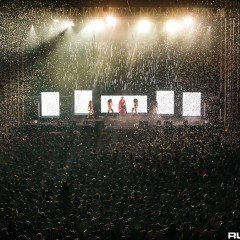 dwp15a_099.jpg