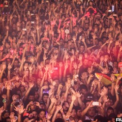 dwp15b 044