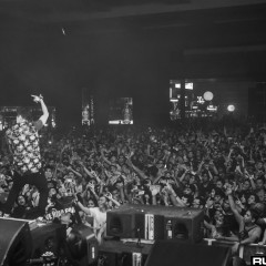 dwp15b 111