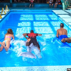 holyship16f_005.jpg