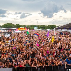 smf15b_040.jpg